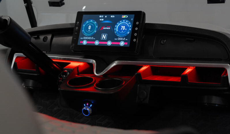 
								2024 MadJax® X-Series 4 Passenger full									