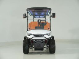 
										New Dach Apollo Front Facing 4 Passenger full									