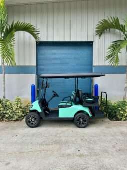 2025 MadJax® E Series – Lithium – Caribbean Holiday Green