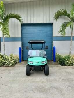2025 MadJax® E Series – Lithium – Caribbean Holiday Green