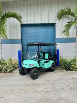 2025 MadJax® E Series – Lithium – Caribbean Holiday Green